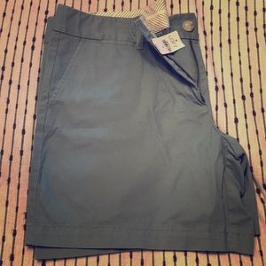NWT Loft Shorts